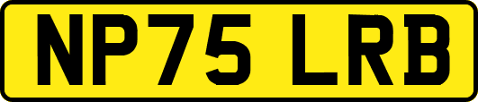 NP75LRB