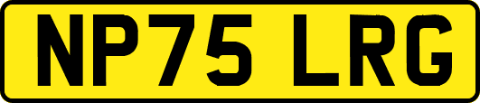 NP75LRG