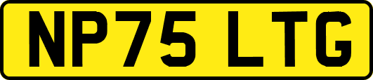 NP75LTG
