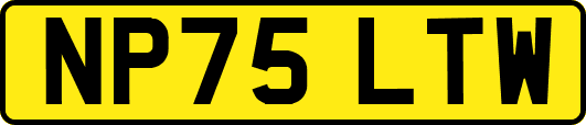 NP75LTW
