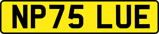 NP75LUE