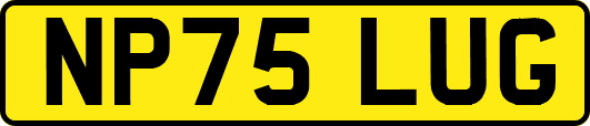 NP75LUG