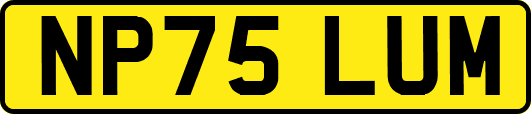 NP75LUM