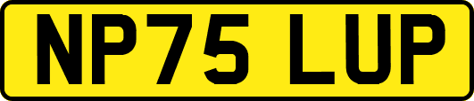 NP75LUP