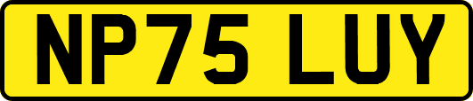 NP75LUY