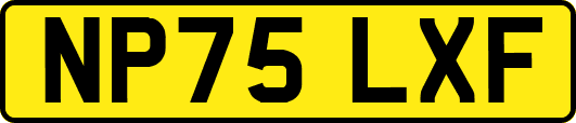 NP75LXF
