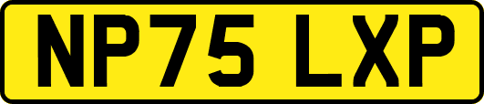 NP75LXP