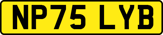 NP75LYB