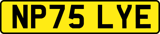 NP75LYE