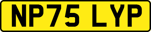 NP75LYP