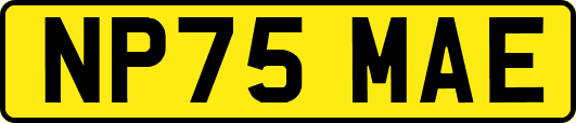 NP75MAE