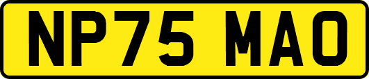 NP75MAO