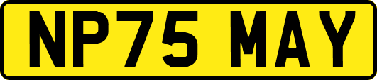 NP75MAY