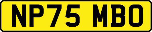 NP75MBO