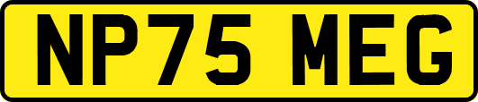 NP75MEG