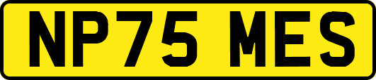 NP75MES