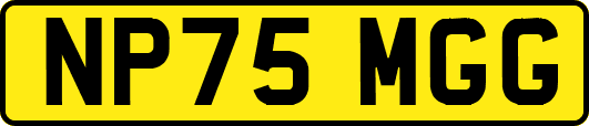 NP75MGG