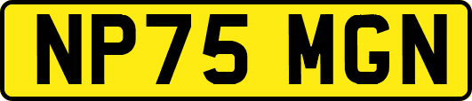 NP75MGN