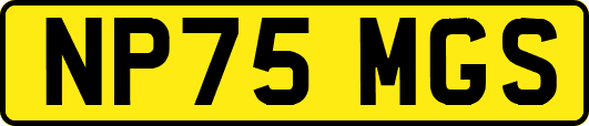 NP75MGS
