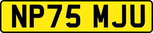 NP75MJU