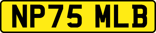 NP75MLB