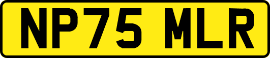 NP75MLR