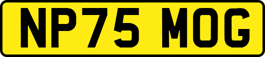 NP75MOG