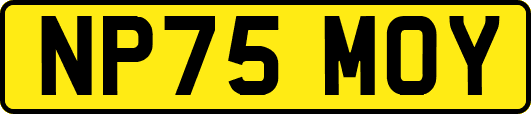 NP75MOY