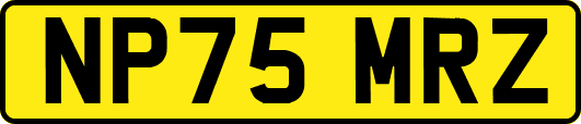 NP75MRZ