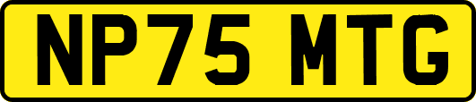 NP75MTG