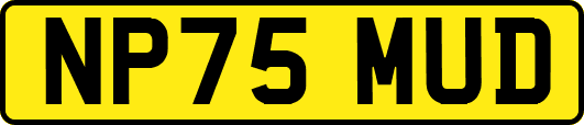 NP75MUD