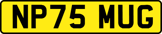 NP75MUG