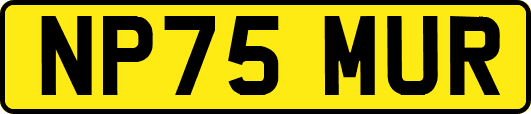 NP75MUR