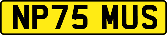 NP75MUS