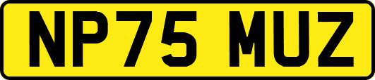 NP75MUZ