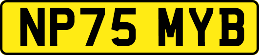 NP75MYB