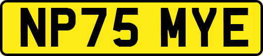 NP75MYE