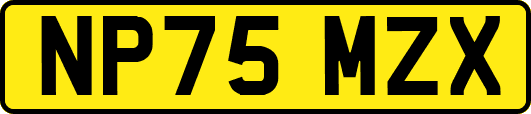 NP75MZX