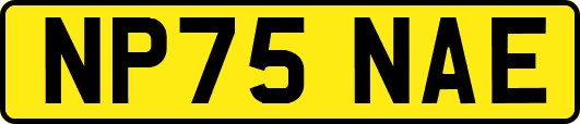 NP75NAE