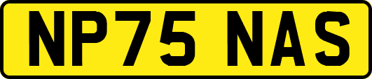 NP75NAS