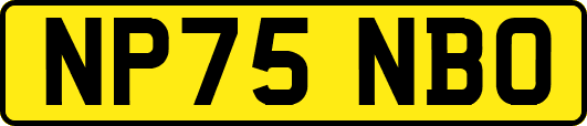 NP75NBO