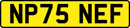 NP75NEF