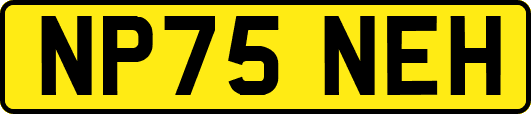 NP75NEH