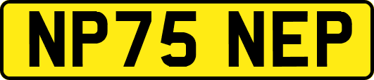 NP75NEP