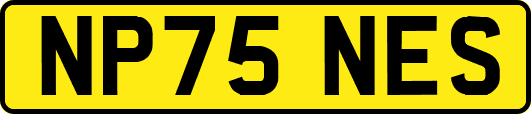 NP75NES