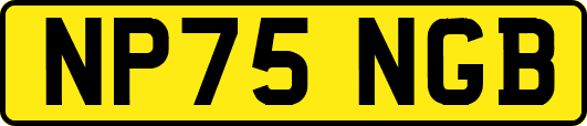 NP75NGB