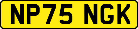 NP75NGK