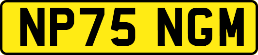 NP75NGM