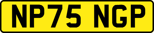 NP75NGP