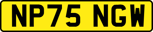 NP75NGW